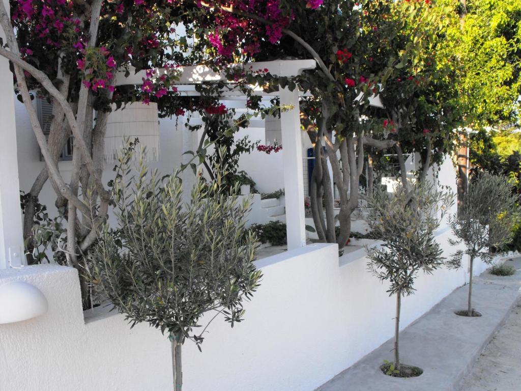 Milos Bay Suites アダマス エクステリア 写真