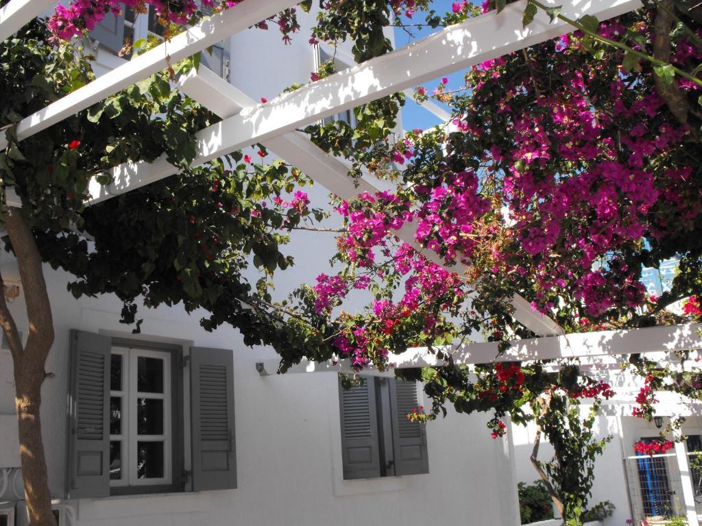 Milos Bay Suites アダマス エクステリア 写真